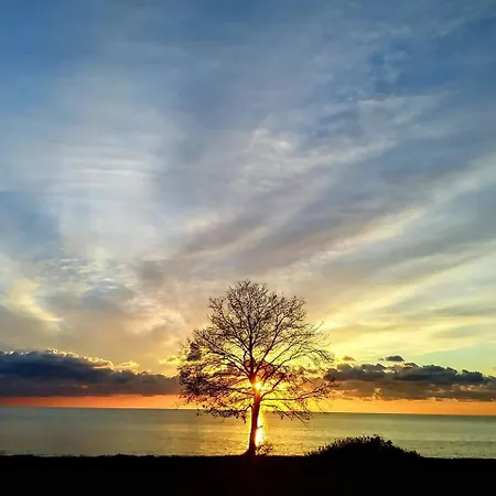 Апартаменты Apartmans Sun & Moon Замбратия